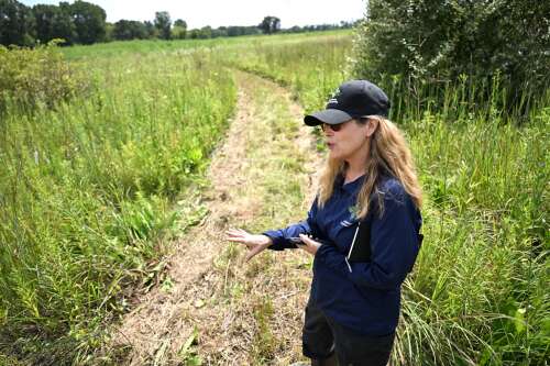 ‘A massive transformation': Project is undoing a century of farming at Lake County preserve