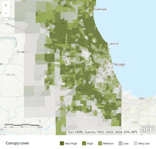 Urban tree canopy grants totaling $6.8M available to disadvantaged Illinois communities - Vimarsana News