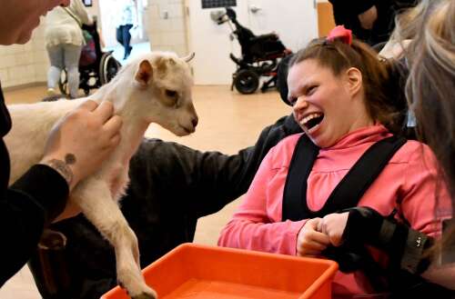 Baby goats visit with Marklund residents - Vimarsana News