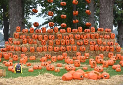 It is pumpkin guts galore': Jack O'Lantern World takes over Lake
