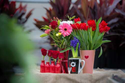 BBB: Watch out for Valentine’s Day romance, shopping scams