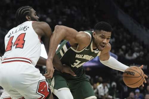 Bulls Win Streak Ends In Ot But White Continues To Shine