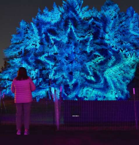 Things to do Dec. 29-Jan. 4: New Year's Eve, Christmas plays, lightshows and more - Vimarsana News