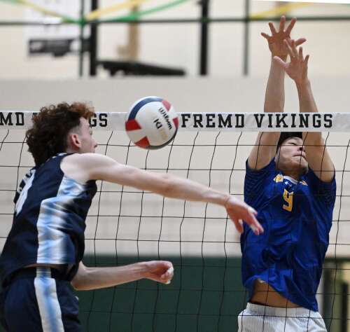 Boys volleyball: Wheaton North edges Buffalo Grove in Fremd title match