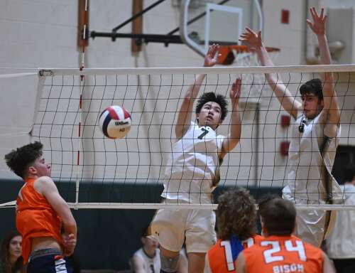 Boys volleyball: Wheaton North edges Buffalo Grove in Fremd title match