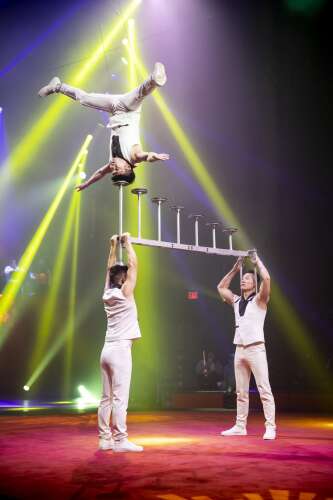 Best Bets: Flip Circus tours the suburbs this summer