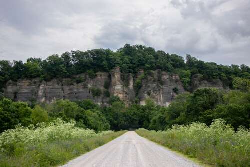 Judge orders federal logging project halted in Illinois' Shawnee National Forest