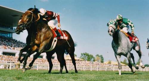 The Biz Week That Was: 5 years since Arlington Park racetrack closed, Toys R Us making comeback, and town center sale are among the highlights
