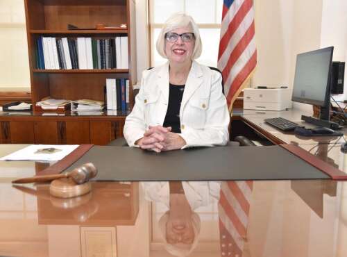 Former Mount Prospect mayor has medical scare at state of village address - Vimarsana News