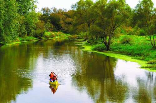 Paddling, fireflies, zip lining, archery among summer activities at ...
