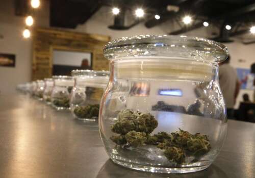 The Biz Week That Was: Marijuana sales dip, new restaurants, and high-tech kitchen gadgets among highlights - Vimarsana News