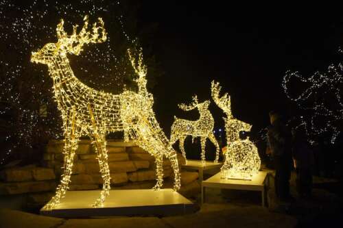 Northbrook shines bright under holiday lights