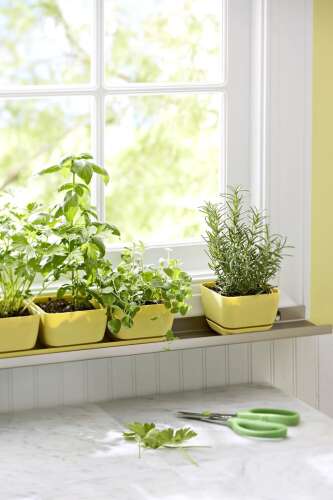 Home & garden calendar Feb. 12-18 - Vimarsana News