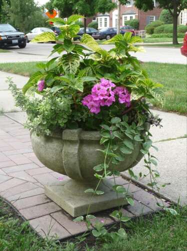 Home and garden calendar April 28- May 4 - Vimarsana News