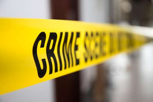 Shooting News Image