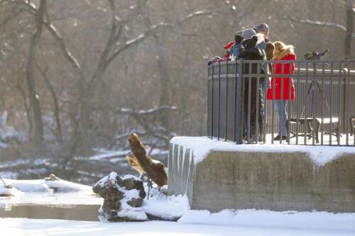 Celebrate Eagles along the Fox River and on Geneva Lake on Jan. 20 - Vimarsana News