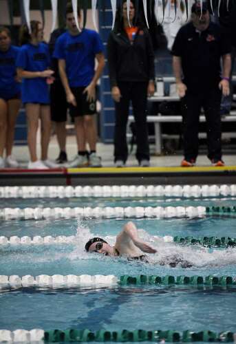 Fox swimmers finish in style at state