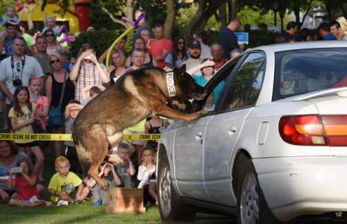 Arlington Heights rebrands its National Night Out event as ‘Night in the Heights'