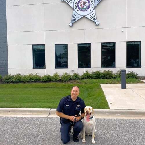 'I'm in a dream job': Mount Prospect's Officer Friendly is also a Shining Star - Vimarsana News
