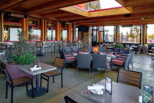 Lazy dog outdoor seating sales