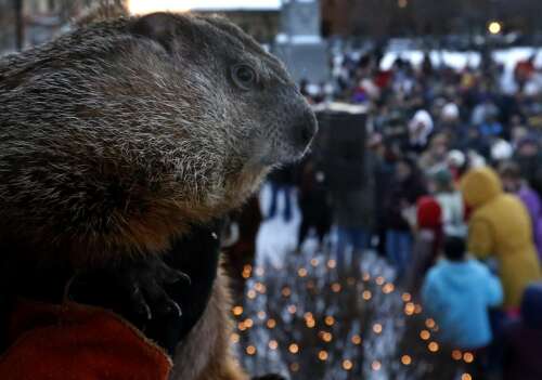 Groundhog Days: Tom Skilling joins Woodstock Willie this year, and other things to know about the festival - Vimarsana News