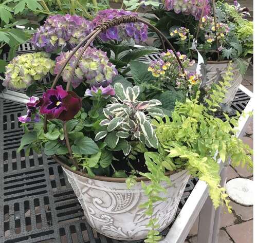 Cool-season edibles perfect for in early spring container gardens