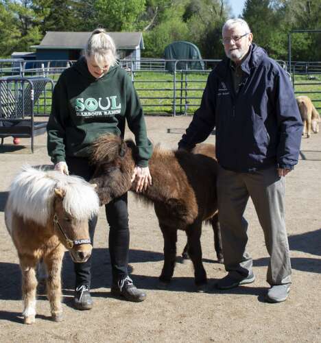 Hoffman Estates mayor honors Barrington ranch on National Therapy Animal Day - Vimarsana News