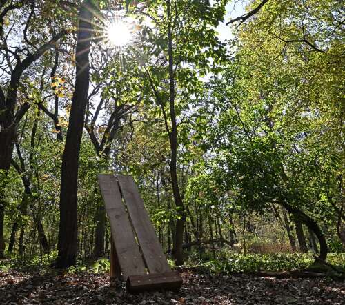 Hawthorne Hill Nature Center in Elgin vying to have state’s only 2nd certified forest therapy trail