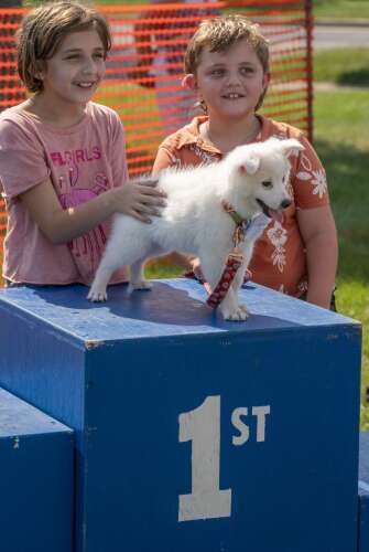 Pups take their place on the podium at charity dog show in Carol Stream