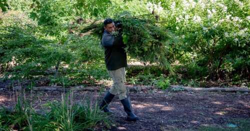 Cantigny and Chicago Botanic Garden launch summer internship program for military veterans - Vimarsana News
