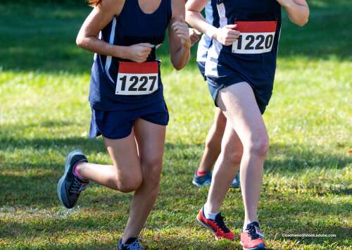 Cross country: Hill, St. Charles North in good early-season form at Elgin City Classic