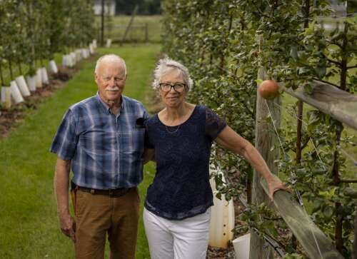 Want to go apple-picking? Some Illinois orchards might not open after several spring frosts killed crops.