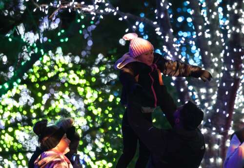 ‘Very ambitious and really special’: ‘Illumination’ at The Morton ...