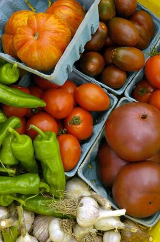 The McHenry County College Center for Agrarian Learning and University of Illinois Extension Master – Daily Herald - Vimarsana News