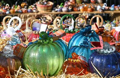 Gourd-geous: Glass Pumpkin Patch returns to The Morton Arboretum