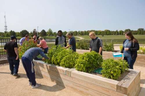 COD awarded $650k USDA grant to expand urban agriculture training