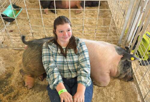 DuPage County Fair draws on traditions