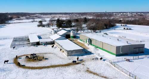 How DuPage Forest Preserve's plan to buy horse farm led to a lawsuit - Vimarsana News
