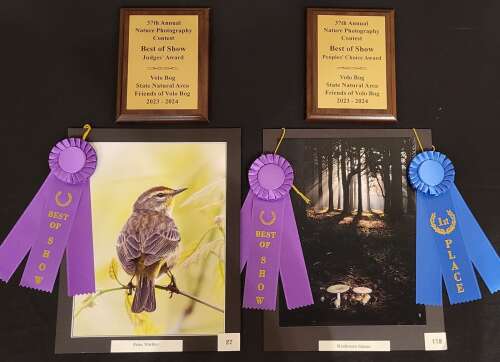 Volo Bog State Natural Area announces 37th annual Nature Photo Contest winners - Vimarsana News