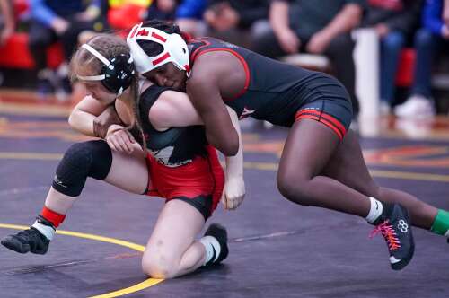 Girls wrestling: Schaumburg ties for sectional title - Vimarsana News