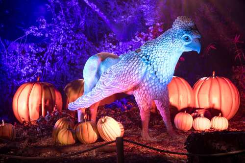 'A game changer for Camp Duncan': Harry Potter experience to make Chicago-area debut in fall