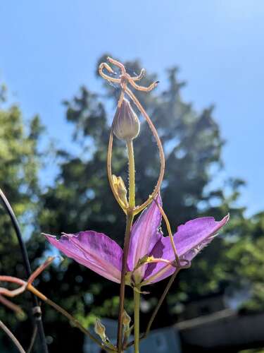 Strong design elements stand out in Daily Herald photo contest winners for June