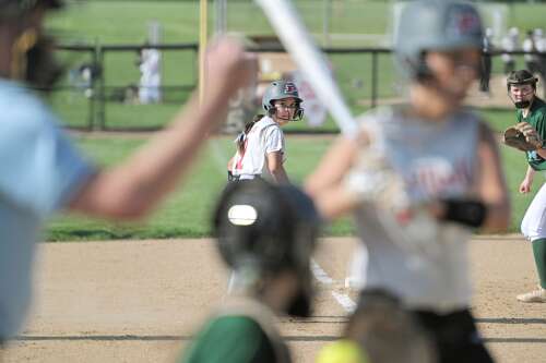 Softball: Adame's clutch hitting helps Palatine upset Fremd - Vimarsana News