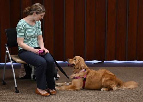 Endeavor Health screens canine candidates for hospital therapy program ...