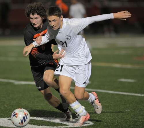 Boys soccer season preview: Scouting Cook and Lake County