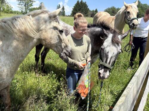 ‘We’re all pretty proud’: Equine Guardians taking care of displaced Palatine Stables horses