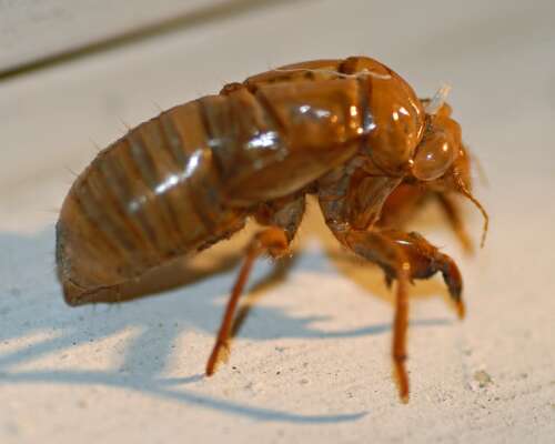 ?uuid=d95a0578-6fa8-5c86-9a90-