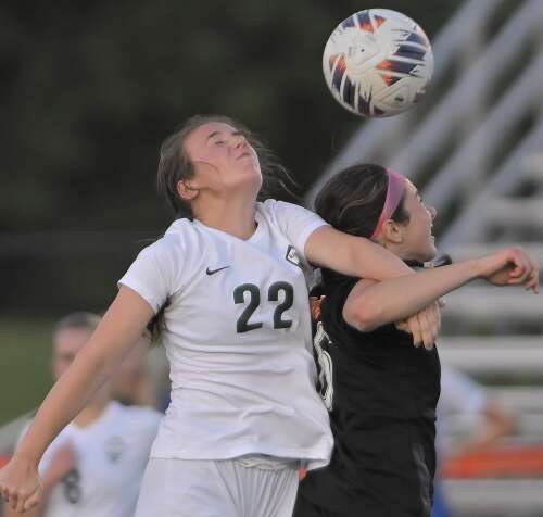 Girls soccer: Barrington, Fremd advance to sectional final