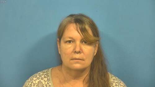 Sanity evaluation ordered for woman accused of stabbing children - Vimarsana News