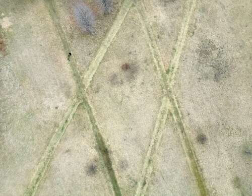 X marks the spot: Trails crisscross through popular dog park in Wauconda